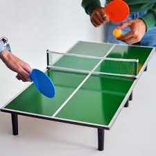 smaller ping pong table
